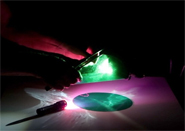 Hannes Seidl und Julia Mihály